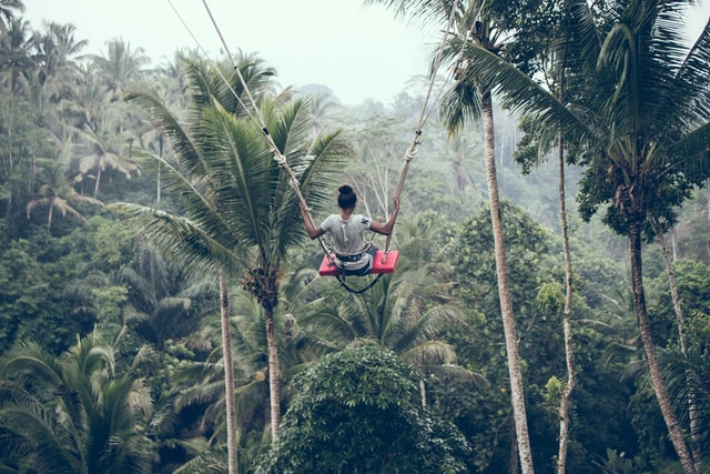 bali jungle swing things to do